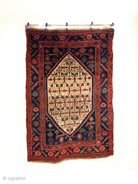 Kolyai Shirshekeri Kurd Rug.  Circa Antique.  Lattice field design.  Very good condition.  8 colors.  75 x 50.  Clean and hand washed.      