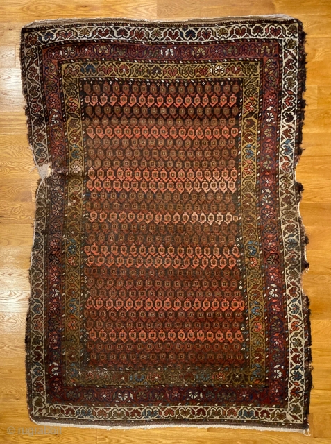 6'3" x 4'4" Veramin Boteh Rug [075]

An antique Veramin Boteh rug. This piece features a triple flower and vine pattern that meanders the borders. Royal colors are found on a chocolate brown  ...