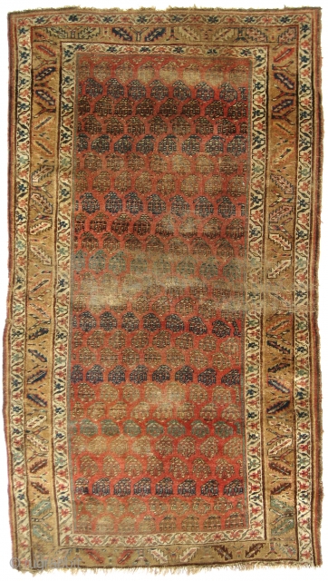 Rare true Serab Northwest Persian long rug, ca. 1900, 4'4" x 7'8". Wool pile on wool foundation; 63 symmetric knots per square inch (7 x 9). Most of the rugs we see  ...