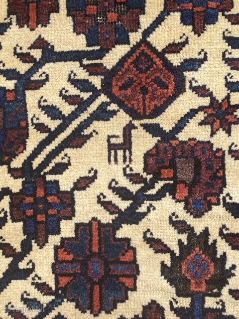 Beautiful Baluch rug 19th century full pile, size is 183 x 113 cm                    