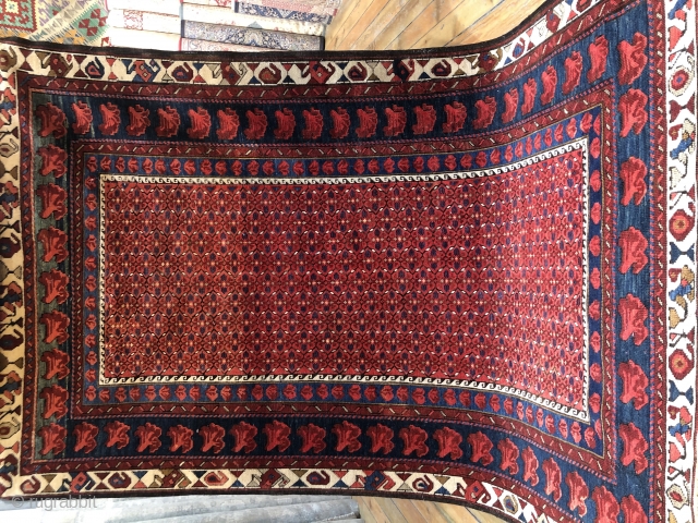 Old Caucasian(posibly from zeyhur)Handwoven woolen rug its about 100 years old!! Perfect condition!! Its 197cm.x121 cm. 

Any Question Please don’t hesitate to ask questions!!         