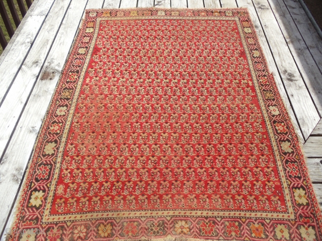 Antique circa. 1800 Caucasian Karabagh Boteh rug. Shusha or possibly Shikhli district, border suggests Shikhli. Fantastic condition. Beautiful karabagh floral meander border, botehs are spectacular. Composition is all wool, warp 3 shoots,  ...