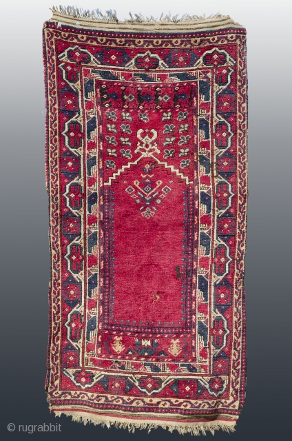 Antique Algerian rug 
Wonderful kermes red background and juicy pile.
                       