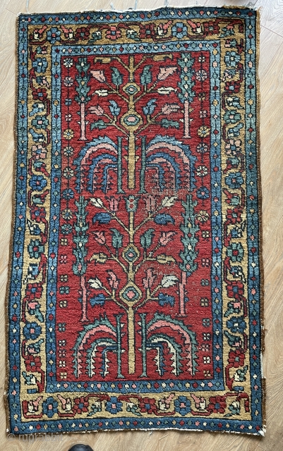 Very rare Bahshahis tree of life carpet 138x84cm                         