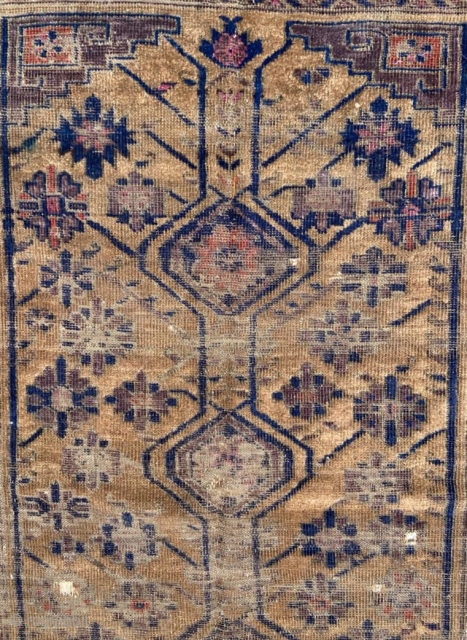 The tree of life Beluch carpet size 160x110cm                         