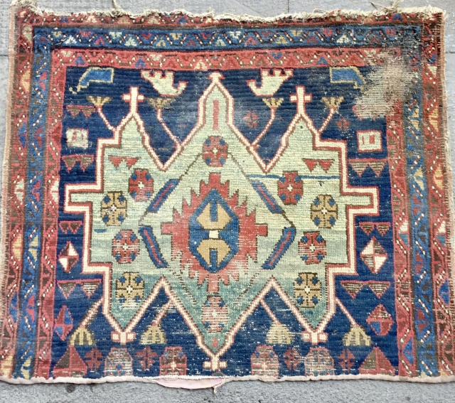 Shahsavan fragmand carpet                              