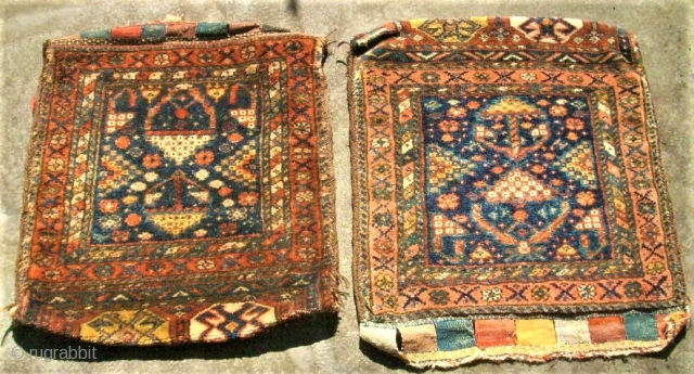 Pair of antique persian bags. Size: 51 x 53 cm and 49 x 54 cm. Very good condition. Perfect colors.             