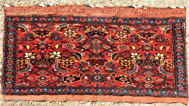 antique Bidjar Mafrash side. Size: approx. 100 x 48 cm. Great colors and perfect wool.                  