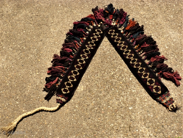 Baluch animal trapping. size: 88 / 83 x 14 cm. Original with Lapiz and cowrie shell.                 