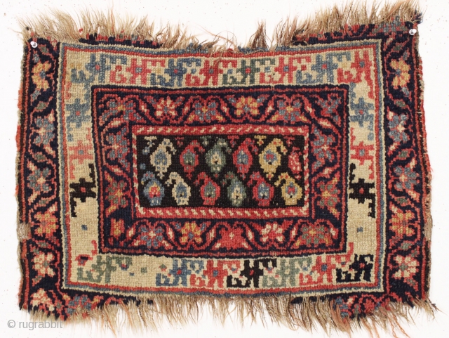 antique little kurdish or luri bagface. Unusual design. All natural colors. "as found", decent pile but end loss as shown. 19th c. 19" x 27"        