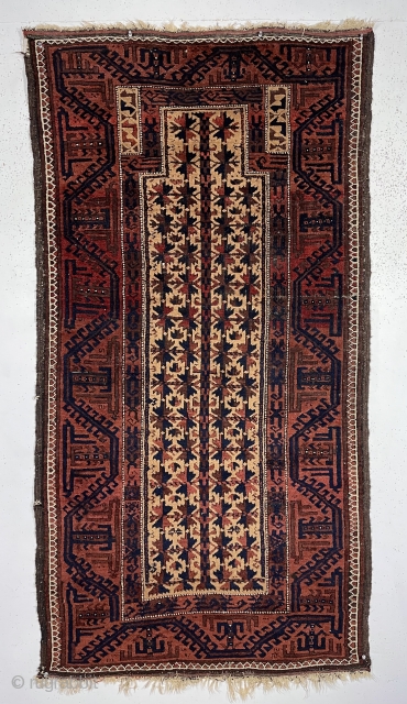 Antique camel ground Baluch prayer rug in rather good condition. Text book design other than unusually tiny hand panels and the “tree of life” trunk made up from tiny turkman motifs. Overall  ...