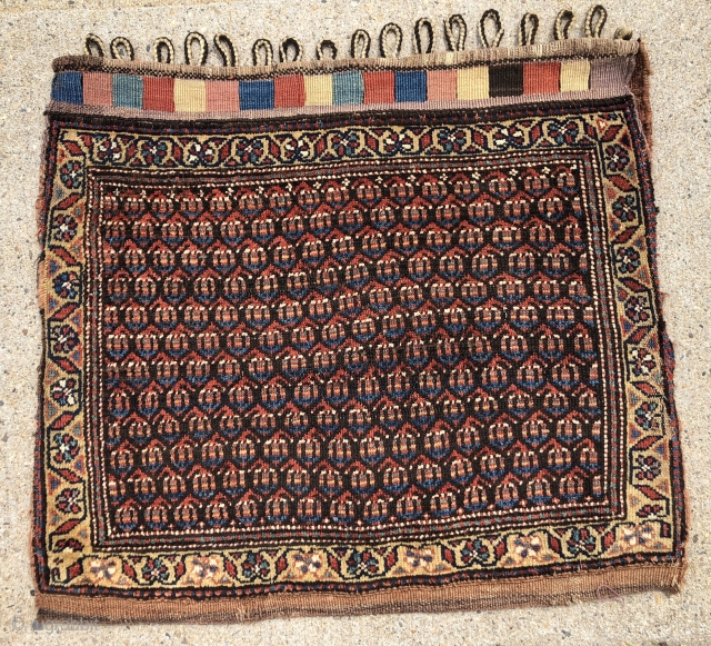 Antique large Northwest Persian bag in good condition with original back and closure tabs. Charming design with offset rows of colorful little boteh. Overall good even low pile with slight scattered wear  ...