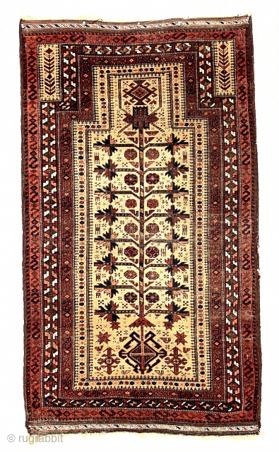 Antique little camel ground Baluch prayer rug. Delicate central tree of life with turkman style medallions. Charming zoomorphic many legged little creatures. Overall decent even low pile. Somewhat uncommon borders. Good color.  ...