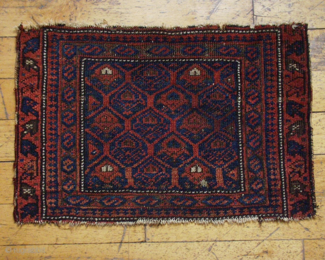 Antique Baluch bagface. Another "shrub" bag. "as found", Low pile, border loss, small nibble. Good colors. 16" x 23"..              