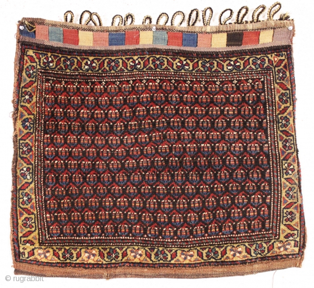 antique complete large persian saddlebag in great condition with good pile and original back and closure tabs. All beautiful natural colors. Recent wash. I see no repairs. Has good presence. ca. 1880.  ...