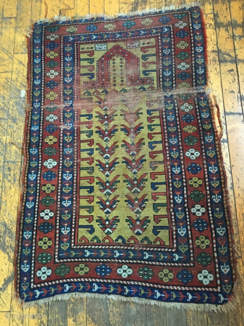 Wayne Barron 
Antique yellow ground Kazak prayer rug. Interesting design. As found, very dirty with wear and damage as shown. All natural colors.  Dated? 19th c. 3'2" x 4'9"
   