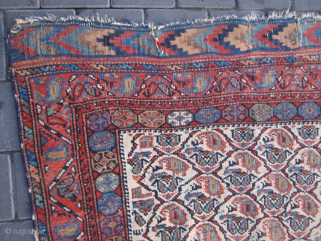 antiqe  afshar jvory low file graet kilims 115/180cm ship free.                      