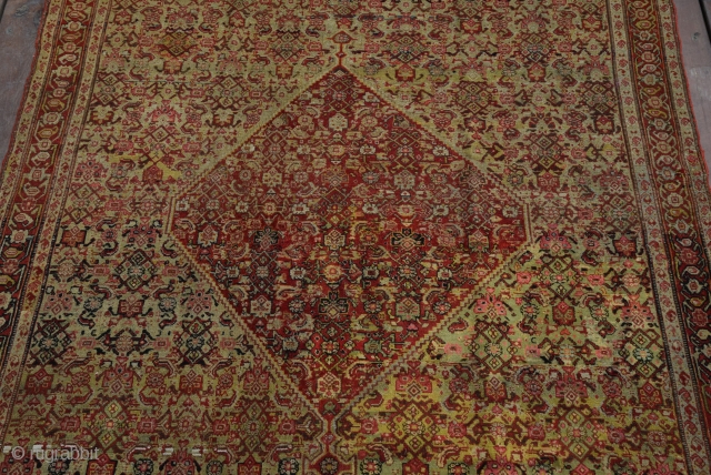 Sine - İran 
wool on cotton , 140 years 
196x141 cm                      