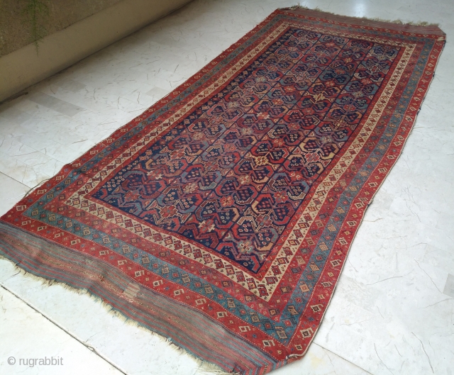 Main antique south persian village/tribal rug (296 x 140 cm). As found condition, very dusty. Needs a bath to shine again. Big kilim skirts at both ends, extremely nice serie of 4  ...