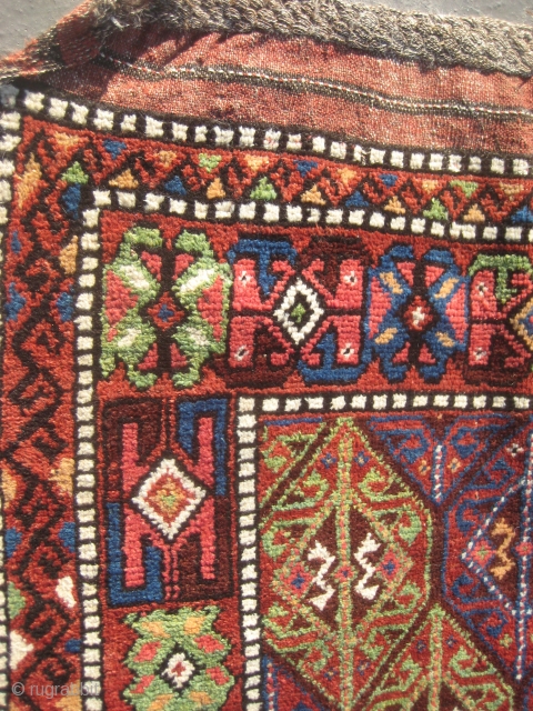 Kurdish rug from Khorassan (223cmX114cm / 7,32'x3,74') . 
                        