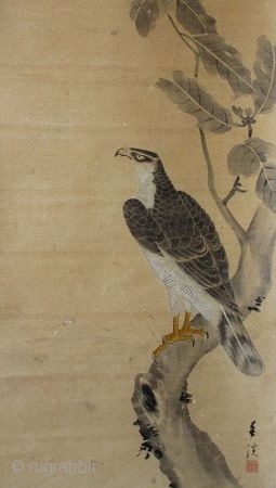 Japanese Antique Scroll Painting of a Hawk, signed Shunkei Antique 
