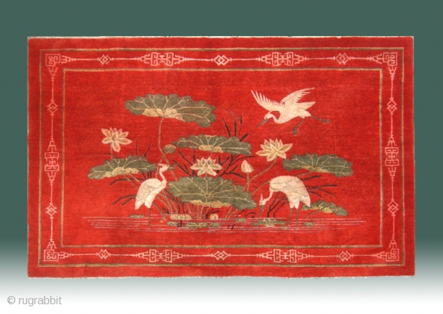 No.M29 * Chinese Antique "Egrets + Lotus" " Rug . Origin: Shanxi-Yulin. Shape: Rectangle Age:19th Century Size:131x203cm(4'4"x6'8"). Background Color:Reds.  
Traditional chinese design. Cotton warp and weft, asymmetrical woollen knots and all  ...