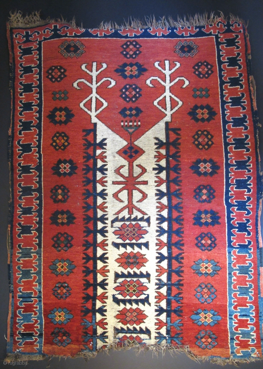 some images of Central Asian Rugs from the Marquand Collection Some