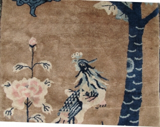 Chinese, Baotou, Nei Mongol scholar’s pictorial wall carpet, 1930/1940, depicting a phoenix looking towards the sun-symbolizing the peace brought by a wise emperor, next to a chrysanthemum, under a tree and clouds  ...