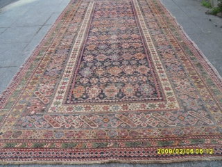 Antıque Çiçi Şirvan size:  260x135  cm.                         