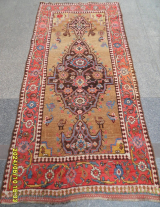 Antique Bidjar Carpet 
Size: 220x108 cm.                           