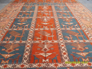 Caucasian Verneh 
Size: 175x135 cm.
Mail Adress: makifhali@yahoo.com                          