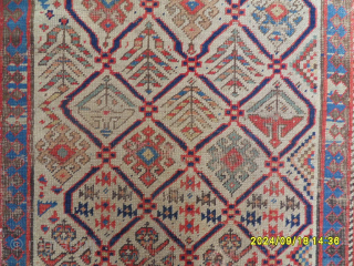 Antique Caucasian Shirvan RUG
SİZE: 251 X 83 CM.
MAİL: makifhali@yahoo.com                        