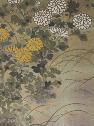A Rinpa school 4 leaf byobu, mineral pigments and gofun on gold leaf ground. 184cm x 69cm (72.4 x 27 inches). Beautifully drawn and executed, the well balanced composition featuring chrysanthemums and grasses  ...