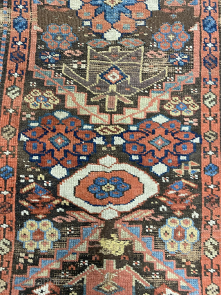 Early Kurdish kelleh, Sauj Bulagh? Size 352 x 90 cm. Excellent saturated colors, nice old purple. Interesting rendition of the border. Top worn. Contact me at alexanderbakker@flairforflavor.com.      