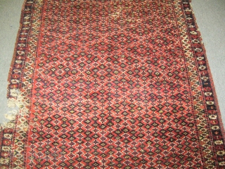 Antique Turkmen Chodor Rug                             