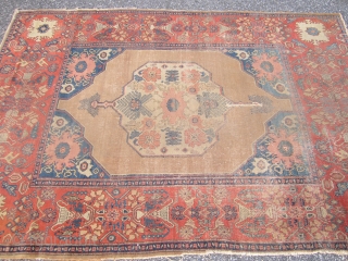 alireza
super rare antique over 130 years old persian senneh oriental rug measures 4' 6" x 6' 6" great drawing ,worn ,4" tear ... read more
Ask about this 
price:  ask
alireza's pages

sold thanks 