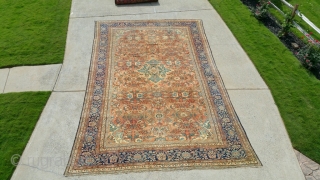 Antique mahal palace size 14 x 21 solid rug very floppy have old patches  clean rug can send more picture            