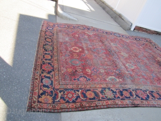 antique mahal crab design rug 9' x 12' 3" some wear 3 holes sides and ends are good nice colors cheap money big profit no dry rot SOLDDDDDDDDDDDDDDDDDDDDDDDD     