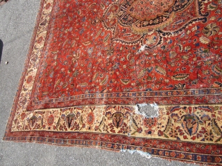 measures 8' 7" x 11' 6" solid rug no dry rot clean damage side and a hole and some worn spot rare design and colors $499.00 plus shipping SOLDDDDDDDDDDDDDDDDDDDDDDDDDDDDDD    