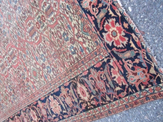 Rare estate find antique 1880 farahan sarouk rug measuring 6' 10" x 9' 10" even dense low pile  all around both ends are missing a row or two has dry foundation  ...