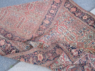 Rare estate find antique 1880 farahan sarouk rug measuring 6' 10" x 9' 10" even dense low pile  all around both ends are missing a row or two has dry foundation  ...