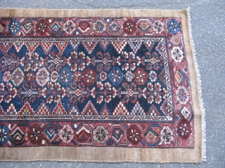 Antique Persian rug, hand knotted wool or camel hair, Hamadan region, Iran, ca.1910, these are called camel hair rugs, but they may also be camel color wool, stylized floral designs on a  ...