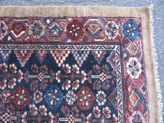 Antique Persian rug, hand knotted wool or camel hair, Hamadan region, Iran, ca.1910, these are called camel hair rugs, but they may also be camel color wool, stylized floral designs on a  ...