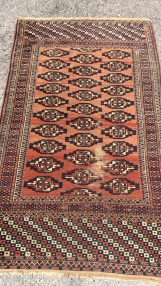 Turkmen 400 $ 160x95                             