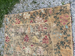 Suzani in nim format. In good condition. Darker backing cloth. Subtle colours and design.                   
