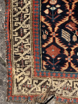  here is a lovely early 19 c shirvan rug around 200 years old.  Size 153 x 102 cm.  Beautiful floral lattice design very fine field is in pretty good  ...