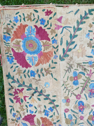 Pretty 19th century small suzani 5x3ft3in.reasonable condition unlined with a few holes.tonyhazrugs@btconnect.com                     