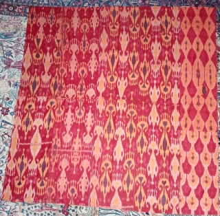 Large and impressive ikat adras panel (parda), Bukhara, Central Asia, isirga (earings) design, circa 1900, 190 x 192 cm, combined 5 strips, scattered small slits, a stain and a patch, otherwise in  ...