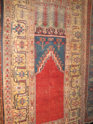 Anatolian Prayer Rug Exhibition, part 2                           