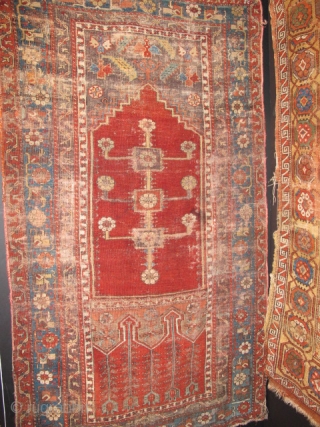 Anatolian Prayer Rug Exhibition, part 2                           